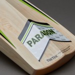 GM Paragon Original L.E English Willow Cricket Bat